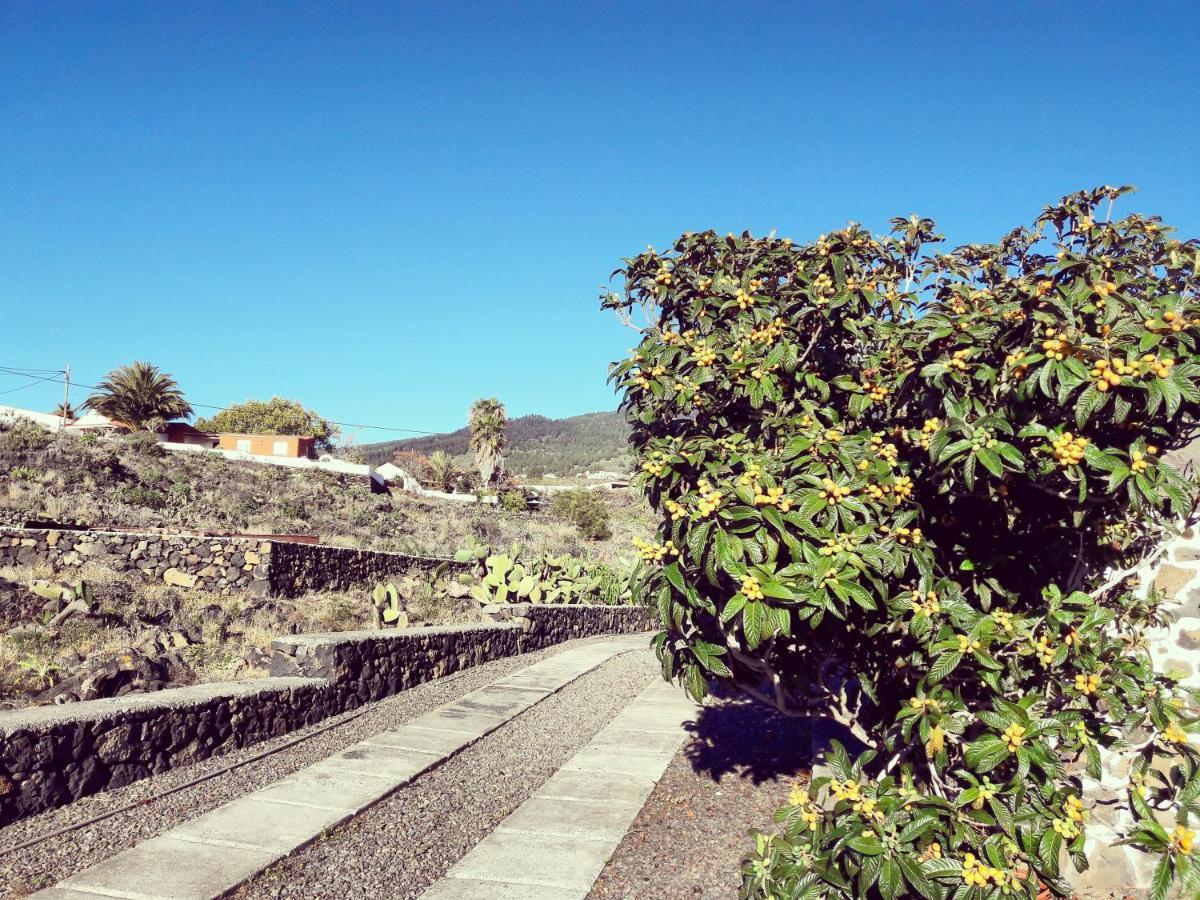Sea And Mountain View Apartment Los Llanos De Aridane Buitenkant foto